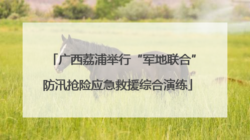 广西荔浦举行“军地联合”防汛抢险应急救援综合演练